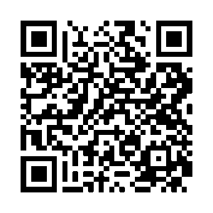 QR para conversar con Pancho